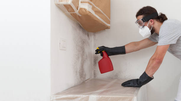 Professional Attic Mold Removal technician working in Newton Highlands, MA