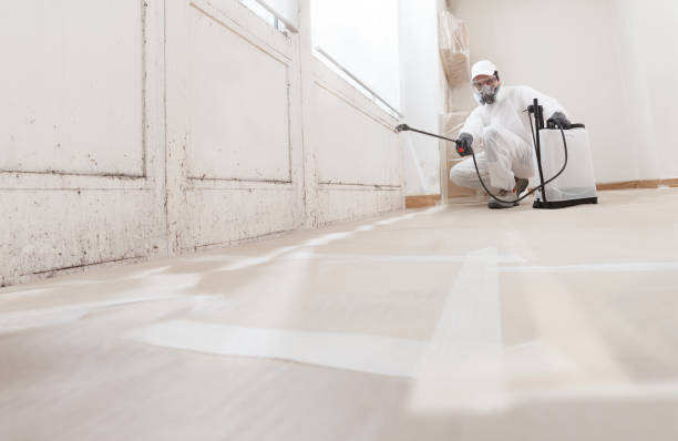24/7 Emergency Attic Mold Removal experts in Newton Highlands, MA